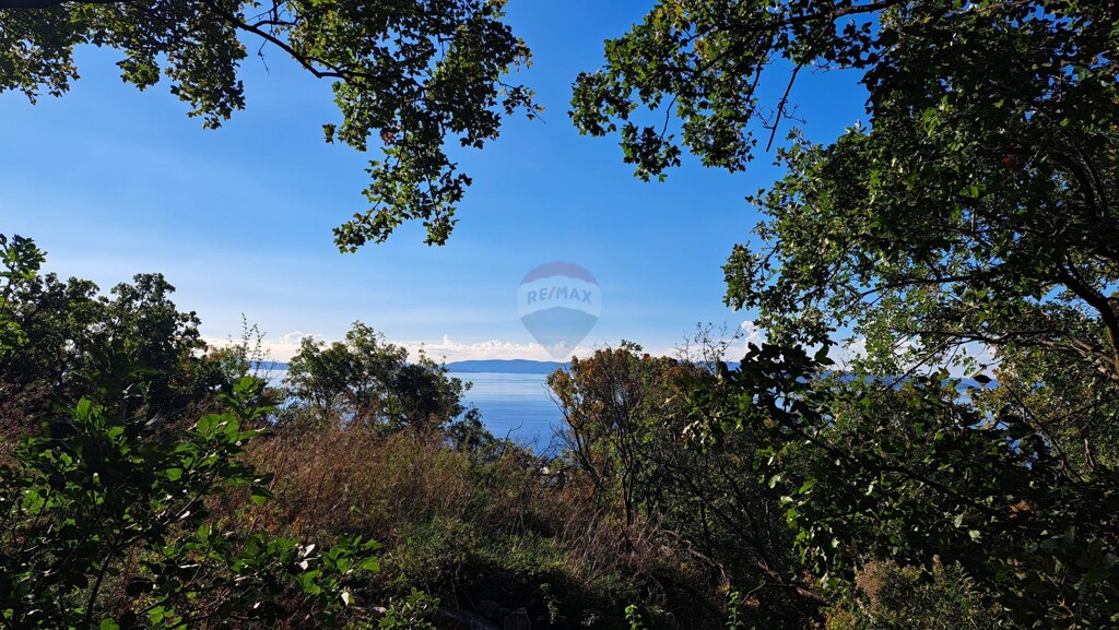 Image 5882556 - 6