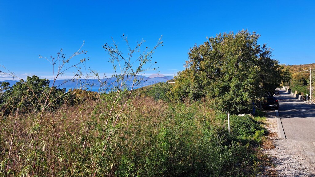 Image 5882556 - 1