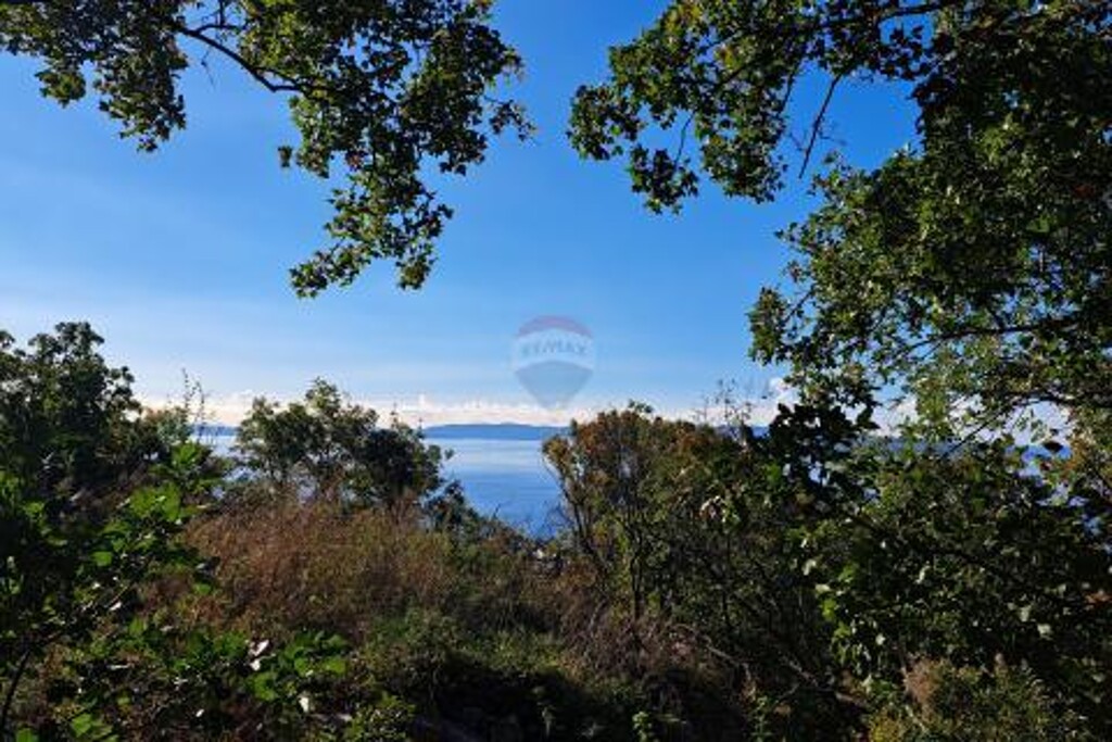 Image 5882556 - 7