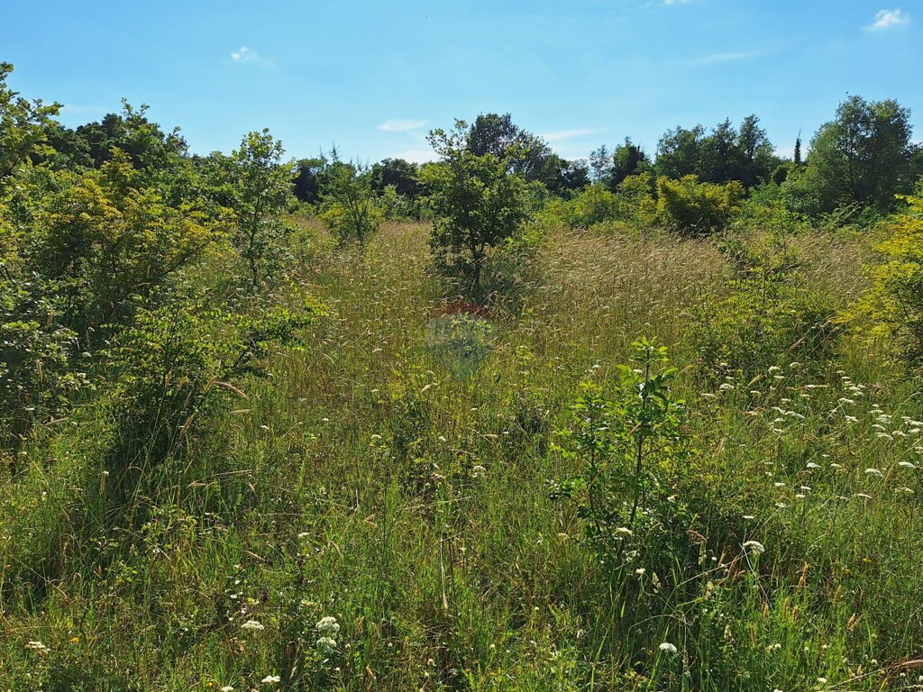 Image 5882564 - 3