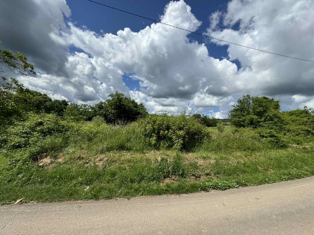 Image 5882830 - 1