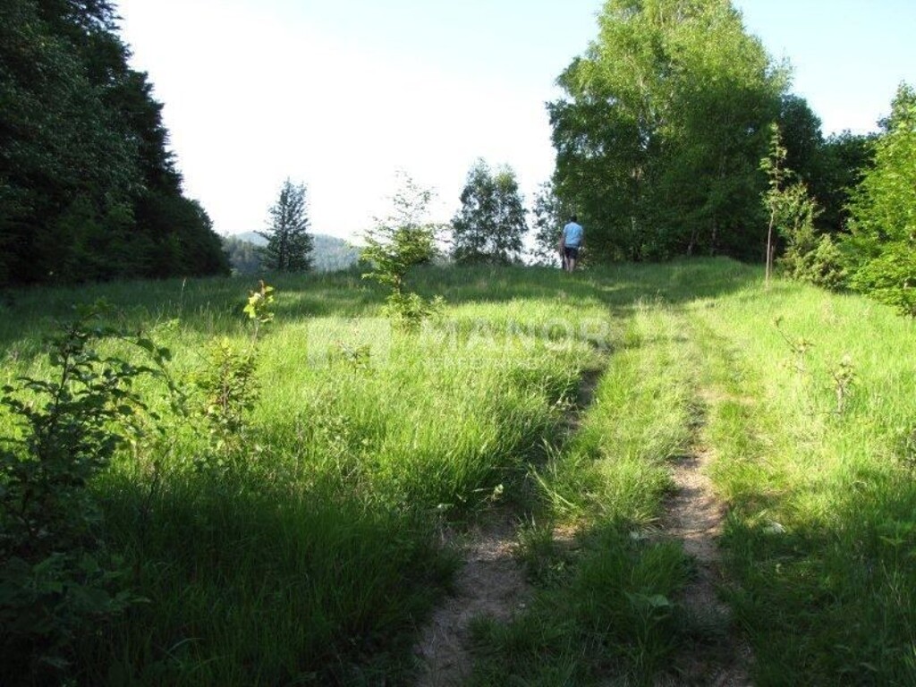 Image 5884092 - 4