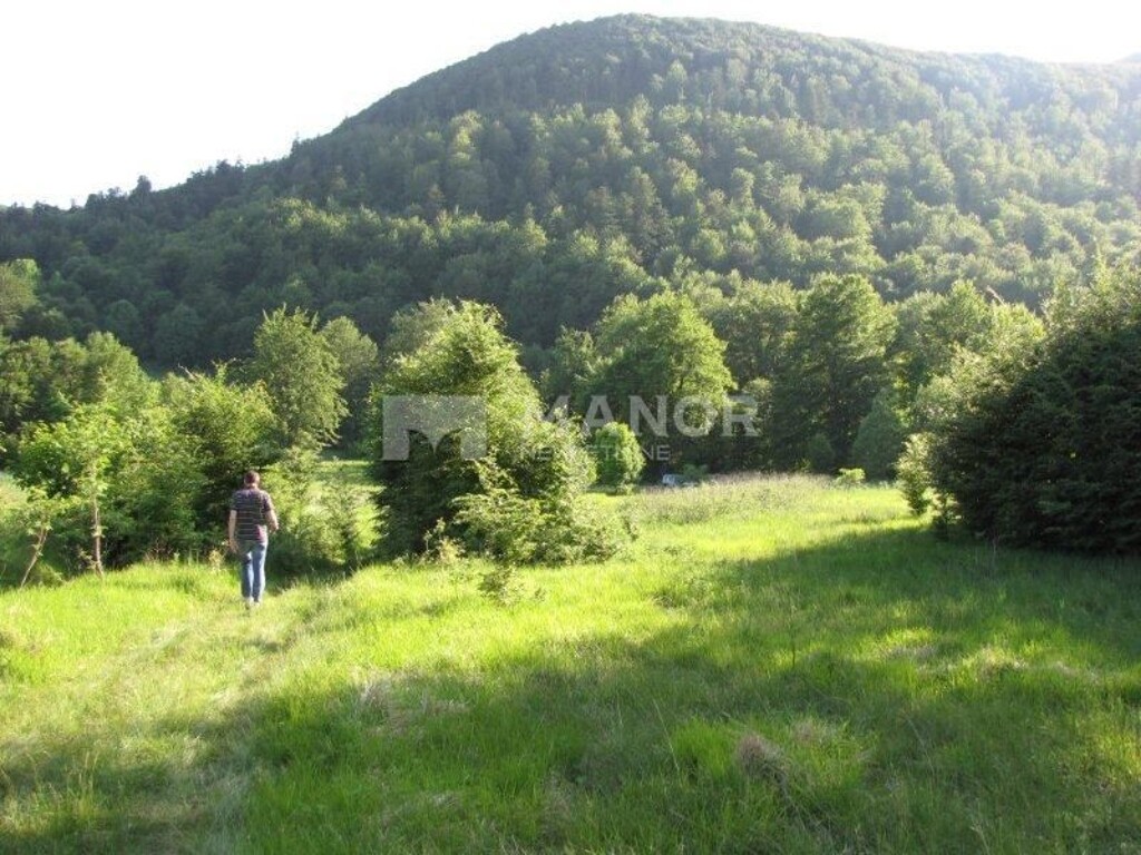 Image 5884092 - 3