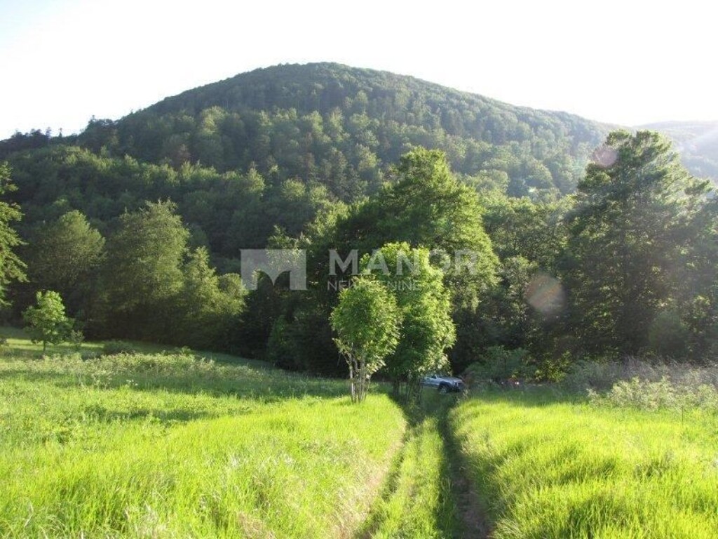 Image 5884092 - 5