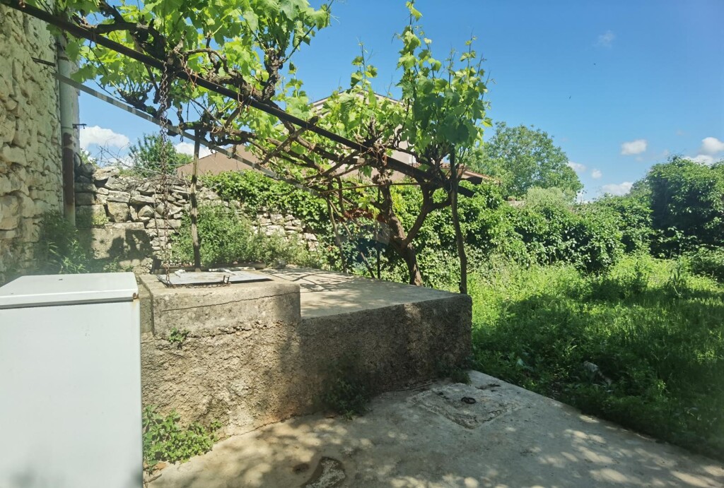 Image 5884120 - 5