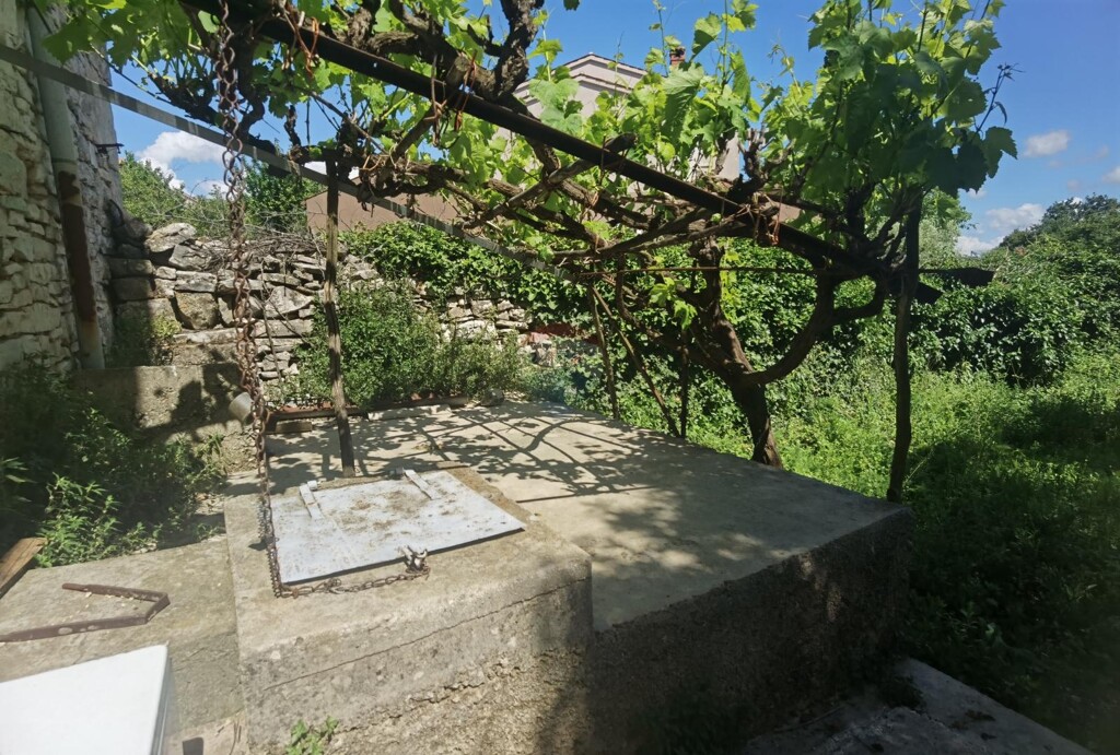 Image 5884120 - 6