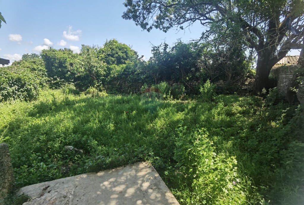 Image 5884120 - 7
