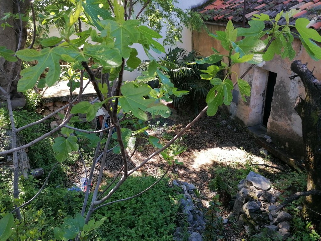 Image 5884130 - 4