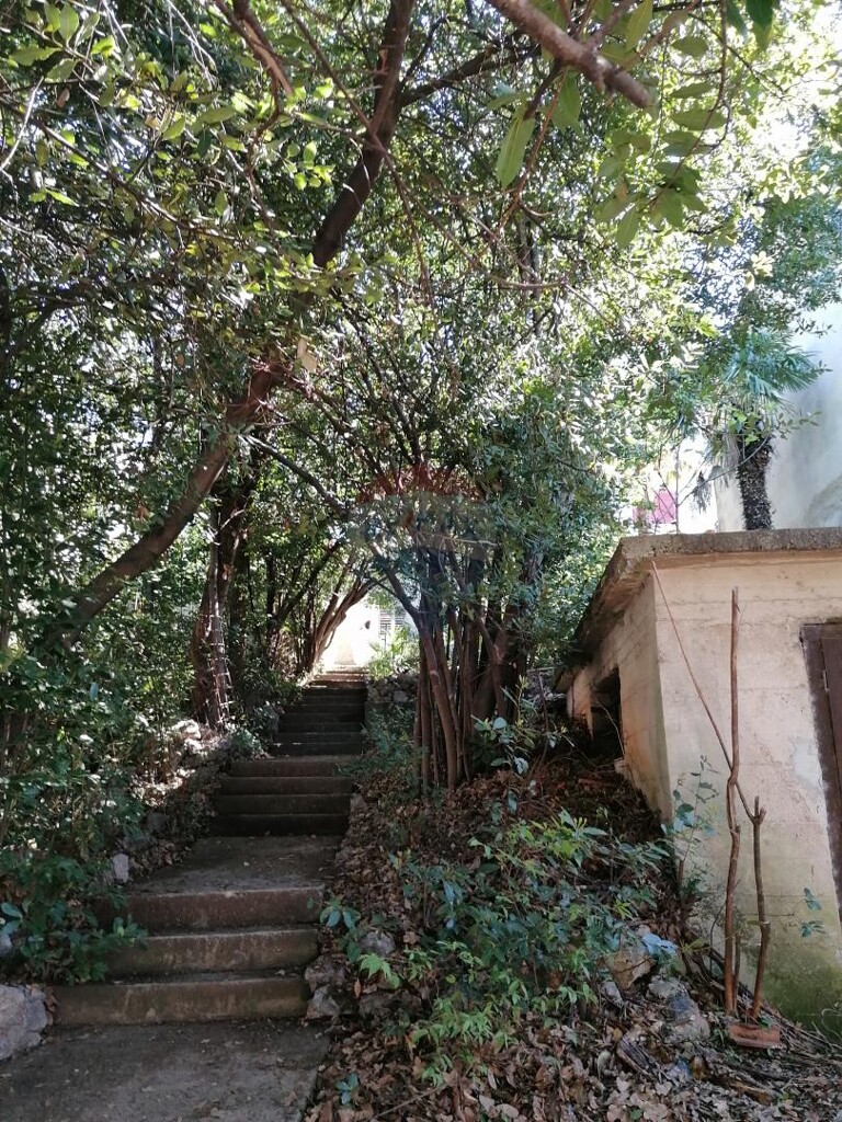 Image 5884130 - 1
