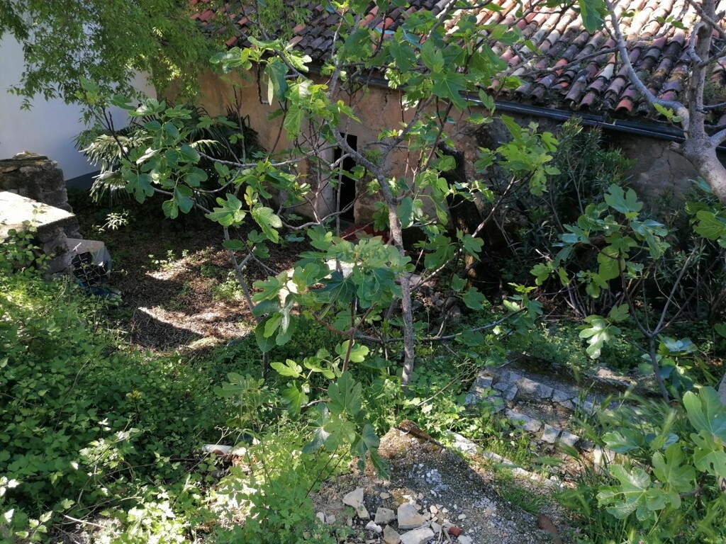 Image 5884130 - 5