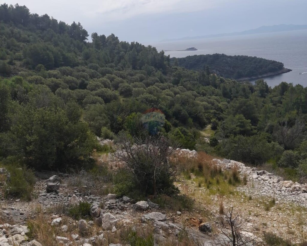 Image 5884711 - 2