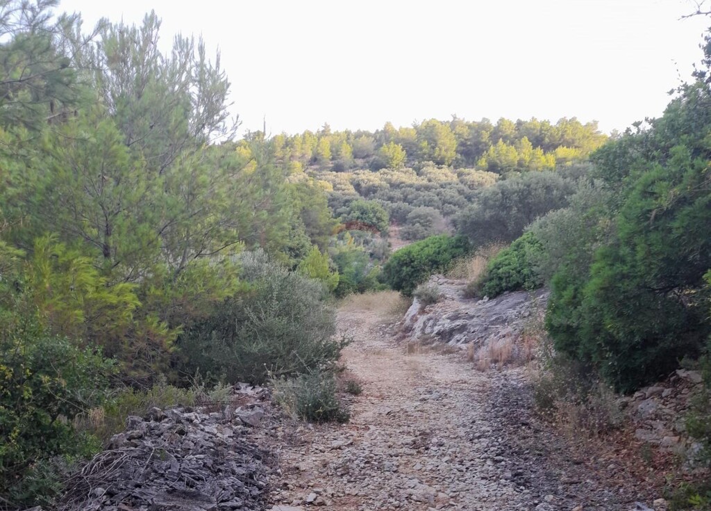 Image 5884711 - 3