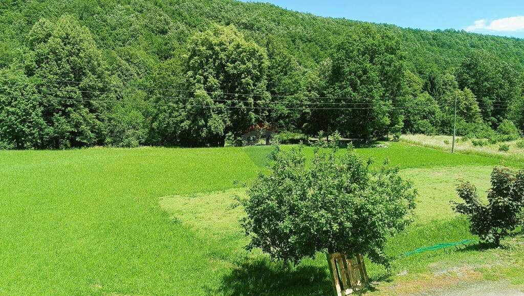 Image 5885581 - 23