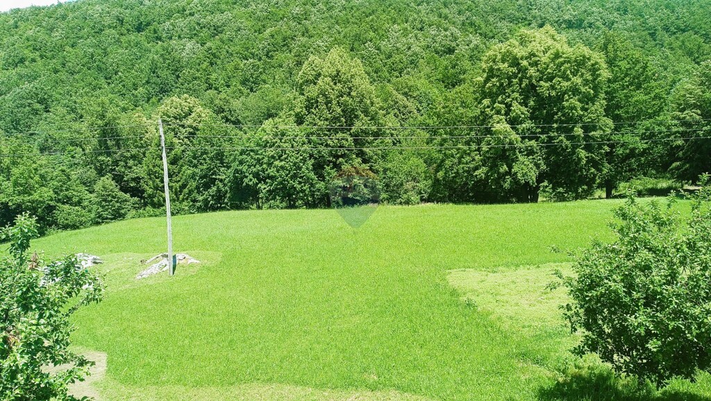 Image 5885581 - 22