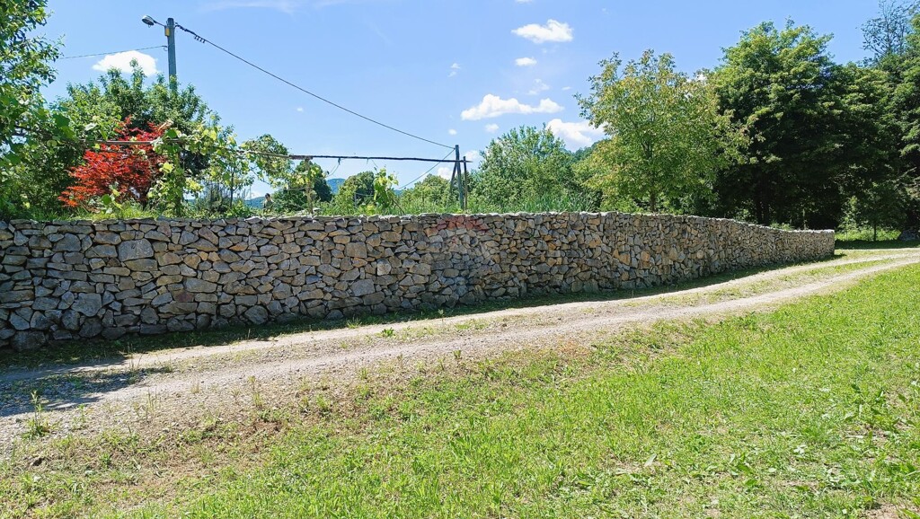 Image 5885581 - 2