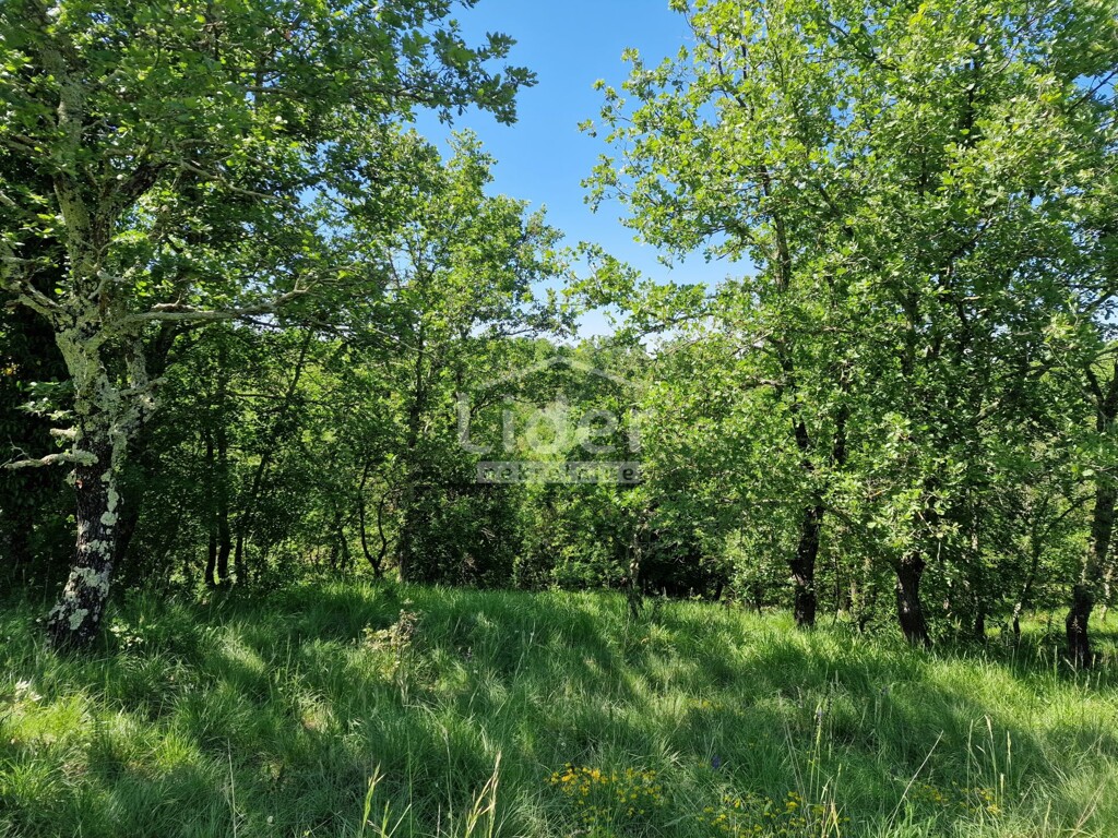 Image 5886385 - 2