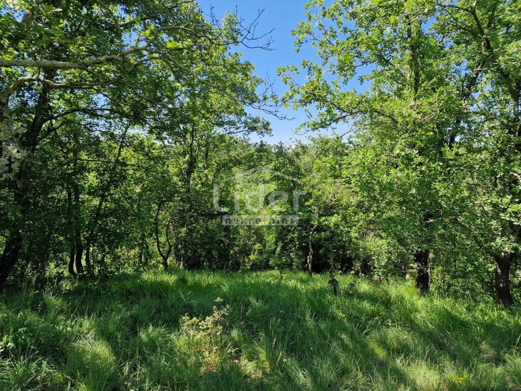 Image 5886385 - 1