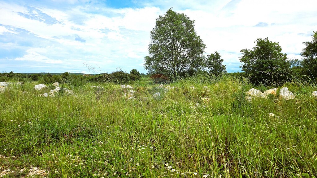 Image 5886829 - 2