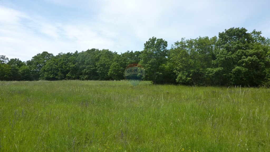 Image 5887945 - 1