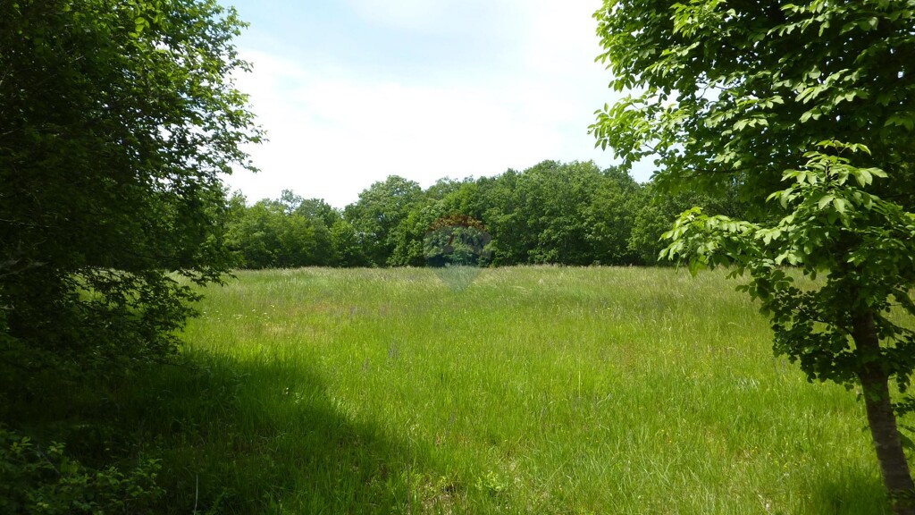 Image 5887945 - 3