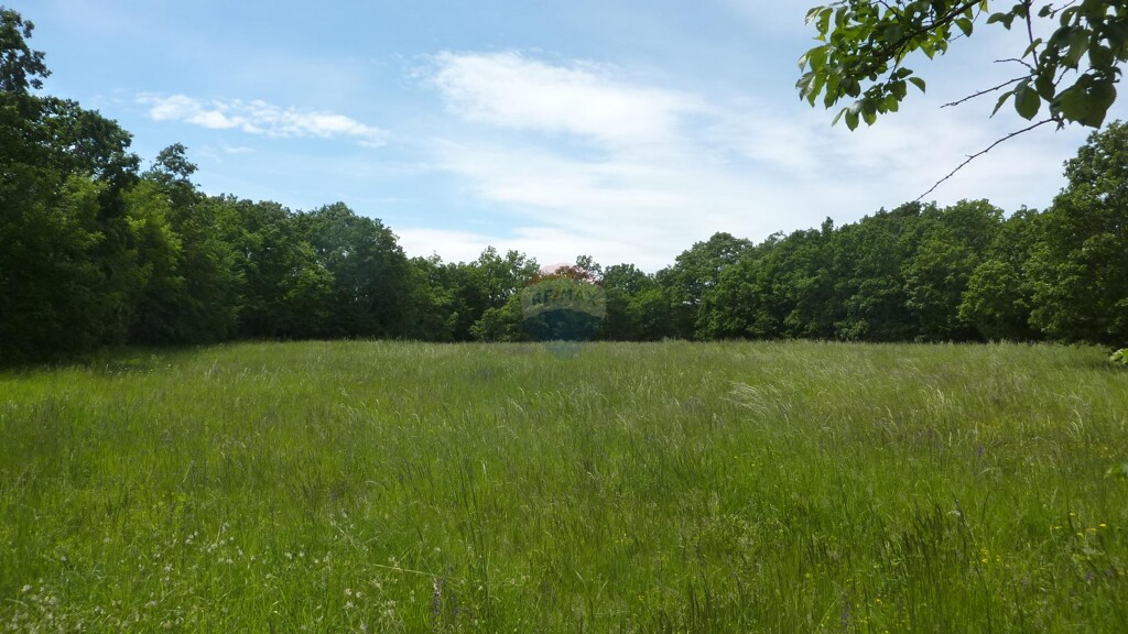 Image 5887945 - 2