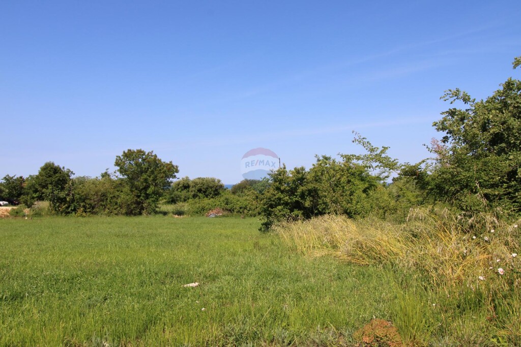 Image 5887946 - 4