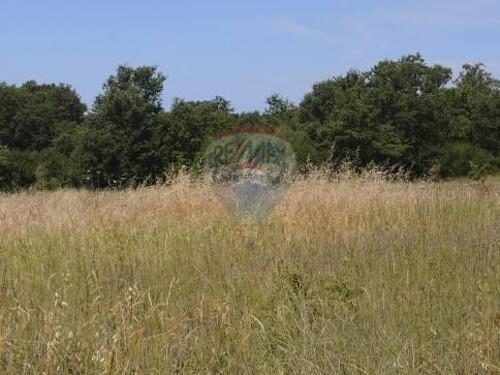 Thumbnail 5887946 - 5