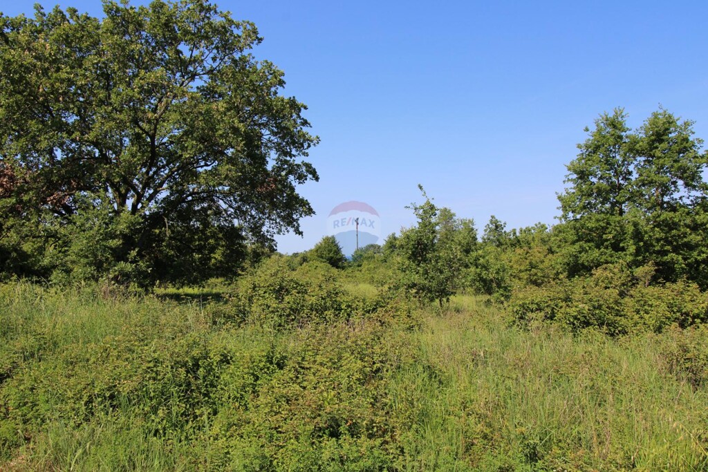 Image 5887946 - 1