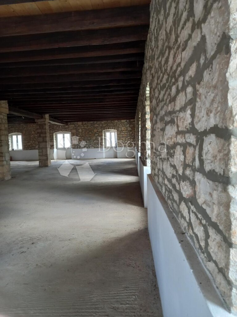 Image 5889142 - 14