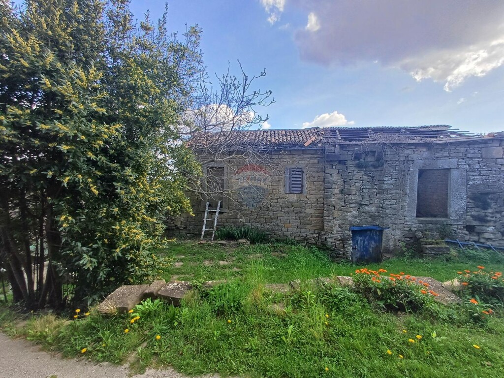 Image 5889357 - 2
