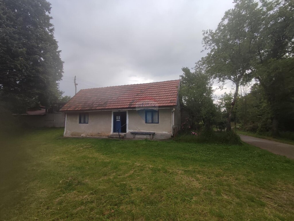 Image 5889359 - 1