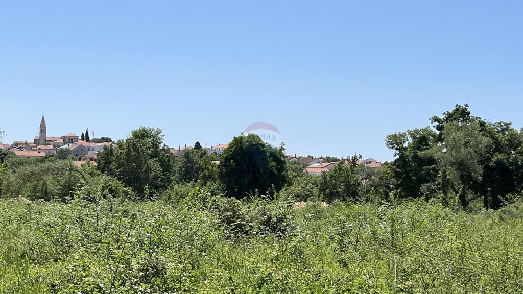 Image 5891145 - 2