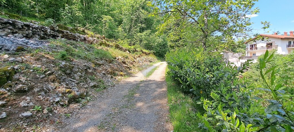 Image 5892084 - 1