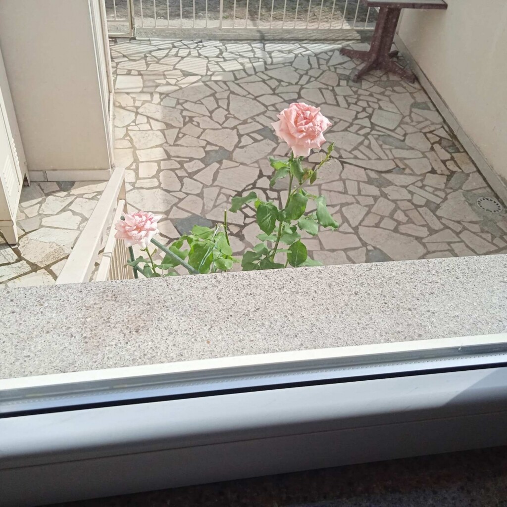 Image 5892339 - 3