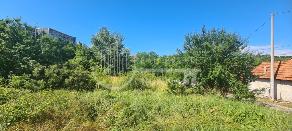 Image 5892348 - 6