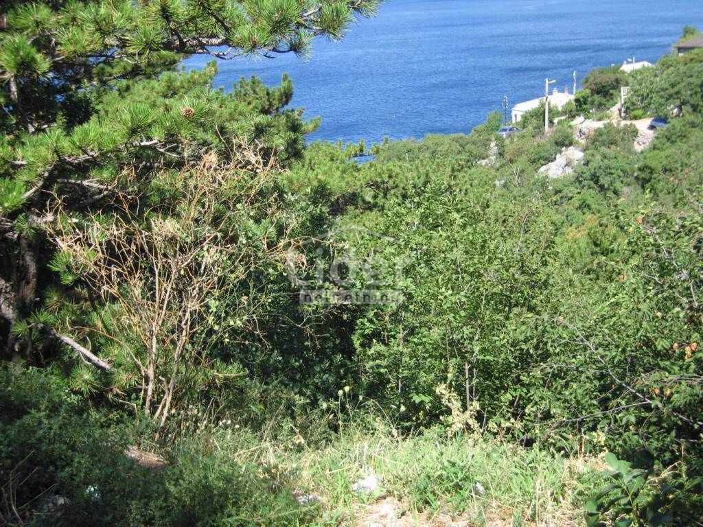Image 5893499 - 1