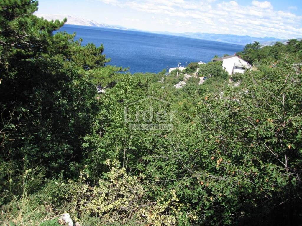 Image 5893499 - 2