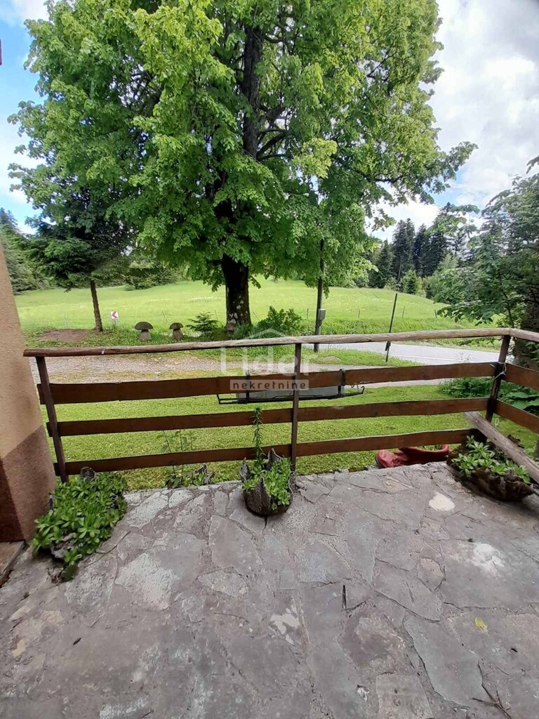 Image 5893506 - 8
