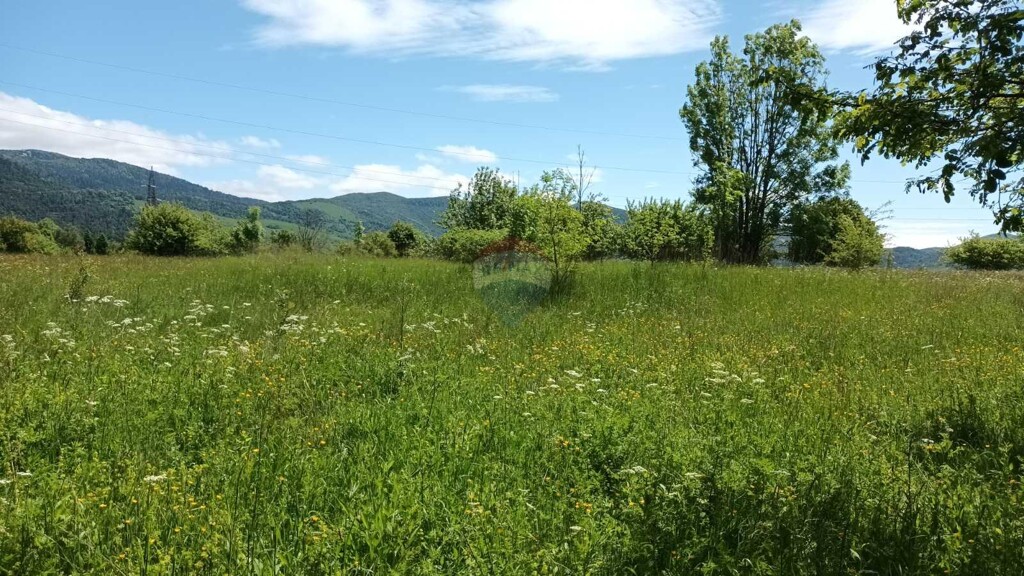 Image 5893748 - 1