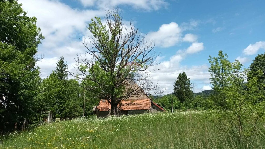 Image 5893748 - 3