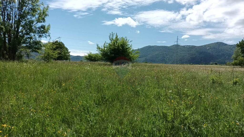 Image 5893748 - 2