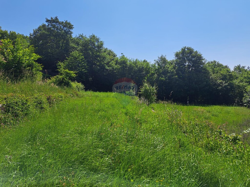 Image 5895389 - 2