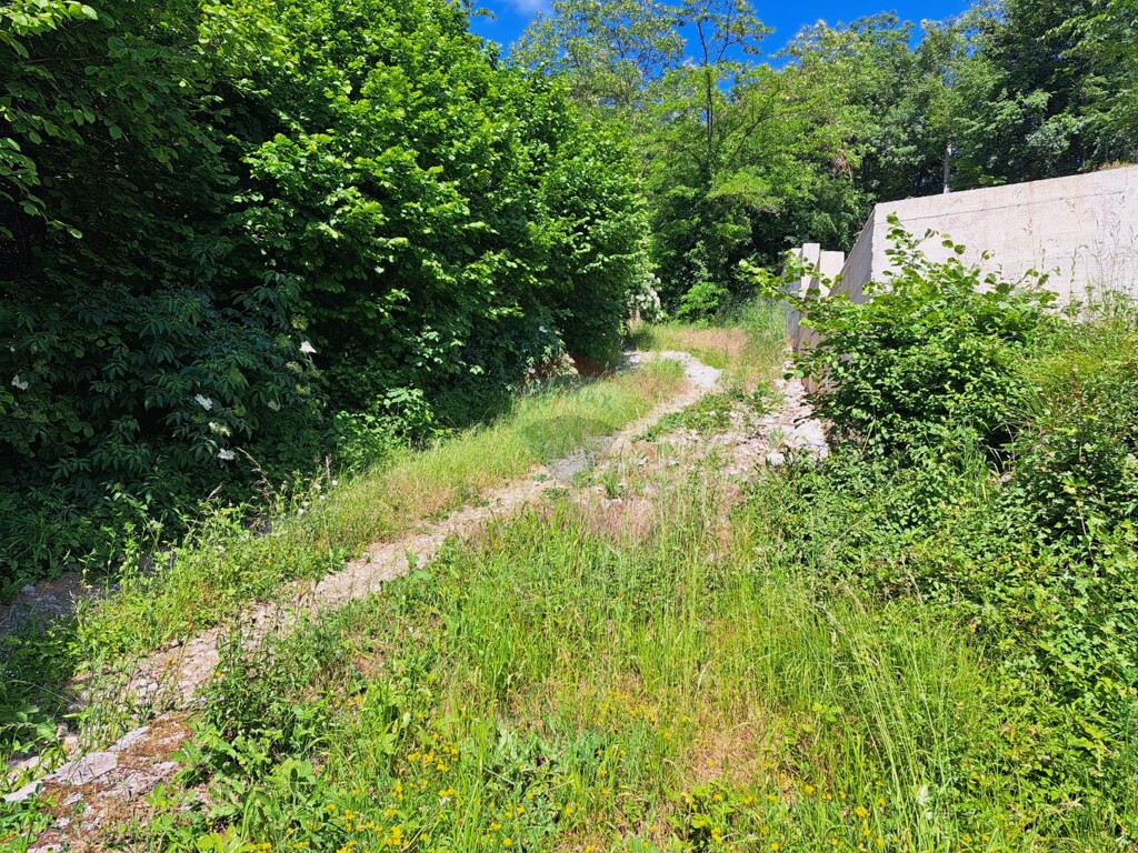 Image 5895389 - 5