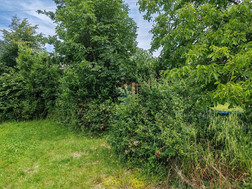 Image 5897054 - 1