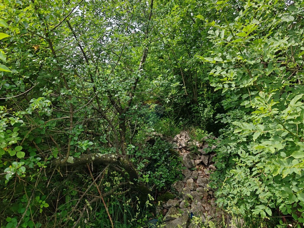 Image 5897054 - 2