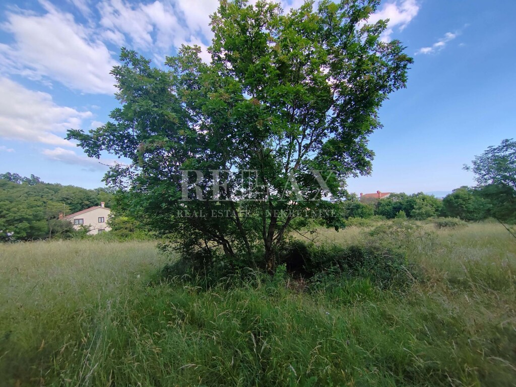 Image 5899438 - 5