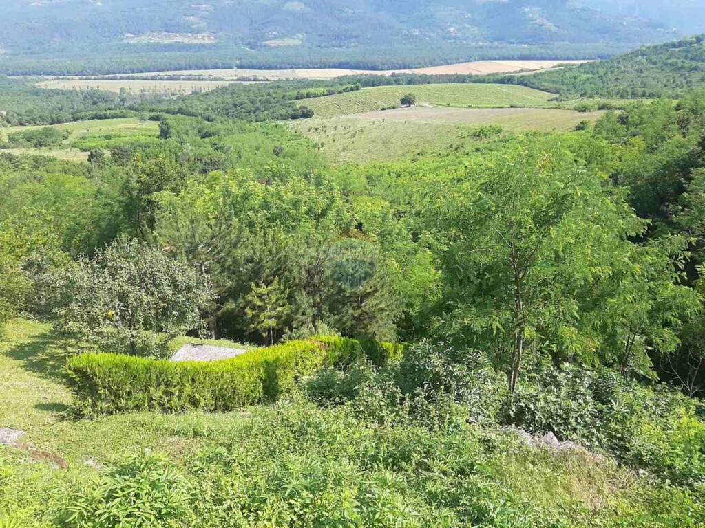 Image 5899526 - 14