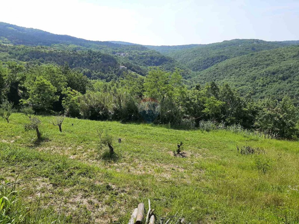 Image 5899527 - 5