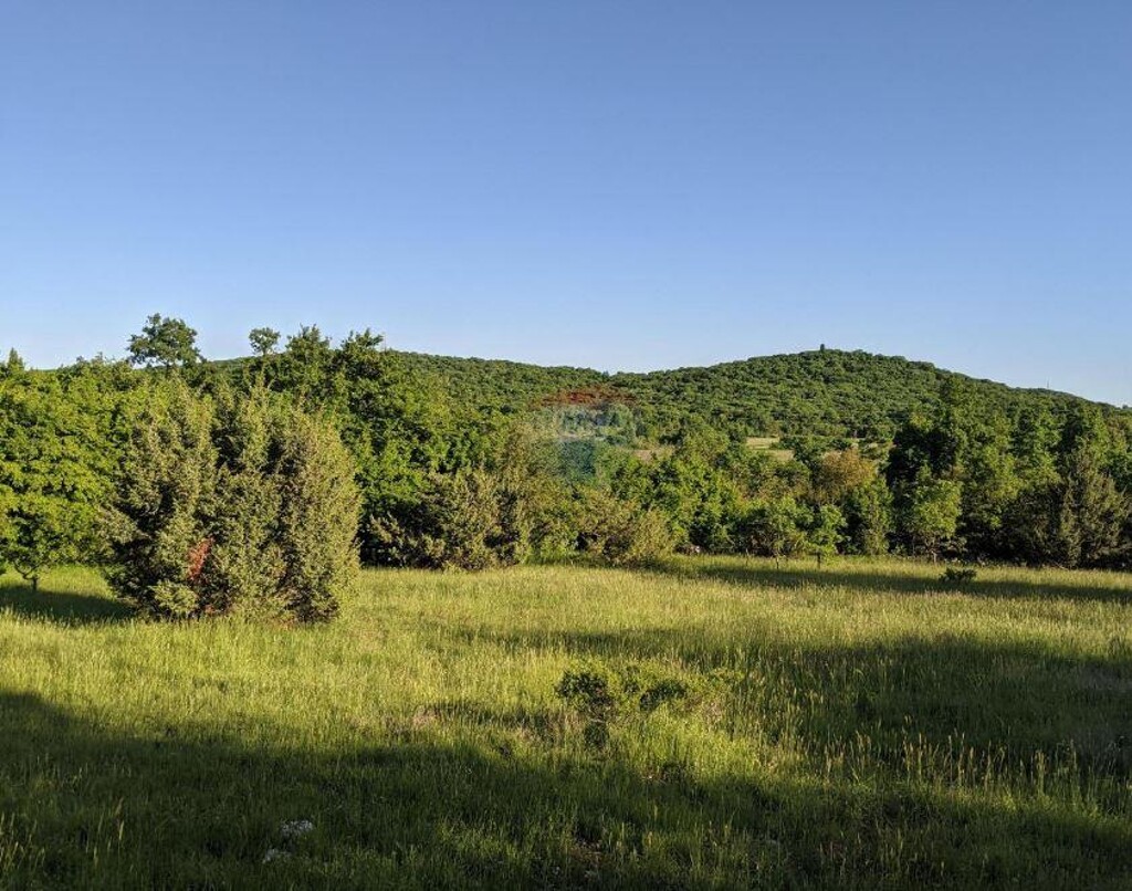 Image 5899534 - 1