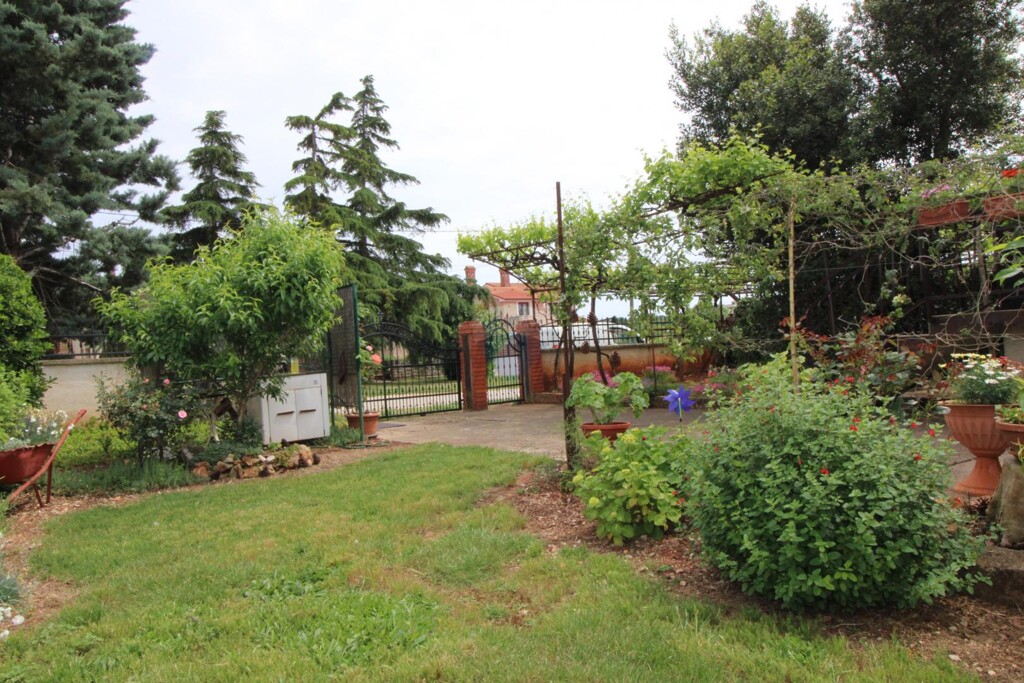 Image 5899541 - 19